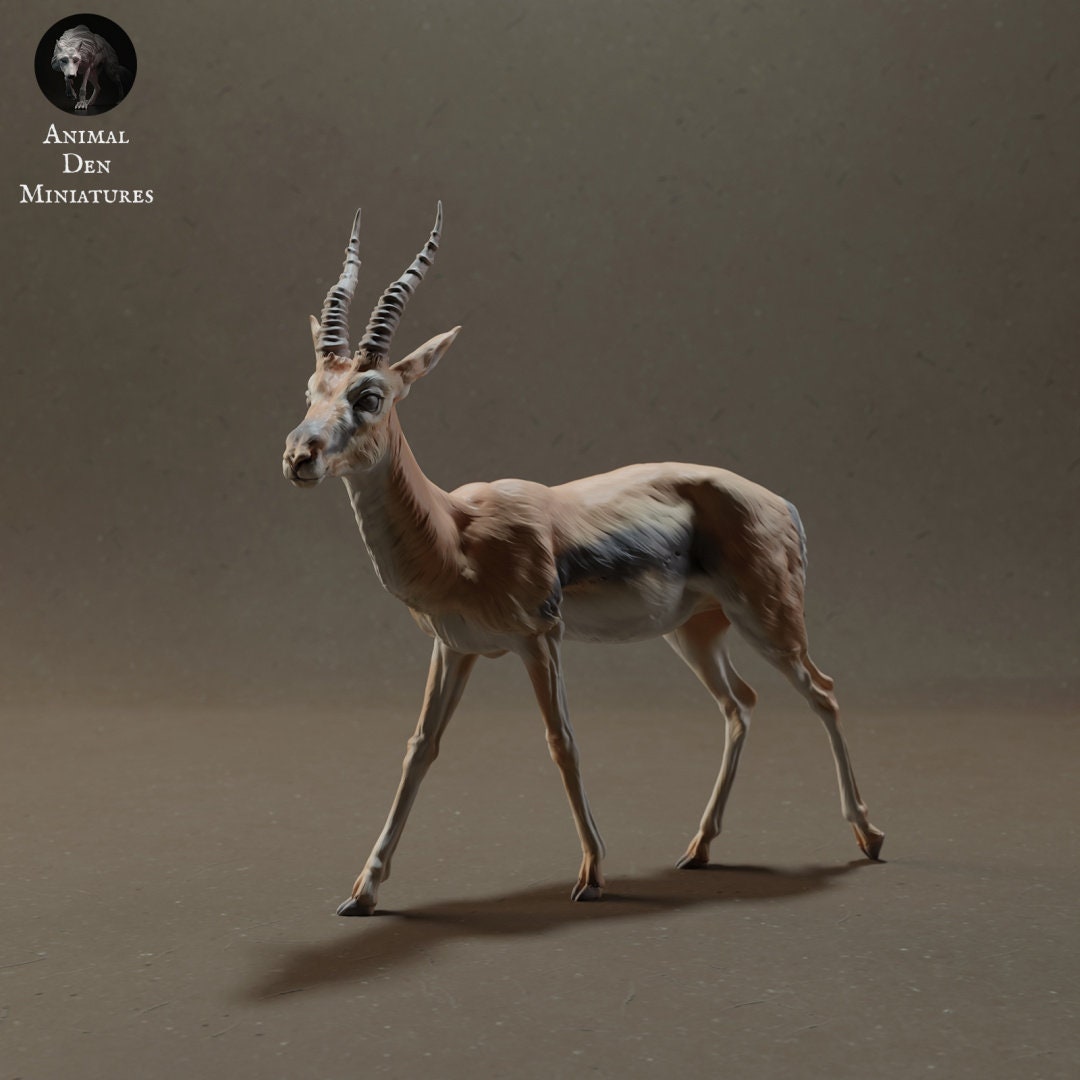 Thomson's Gazelle 1:24 by Animal Den | Please Read Description