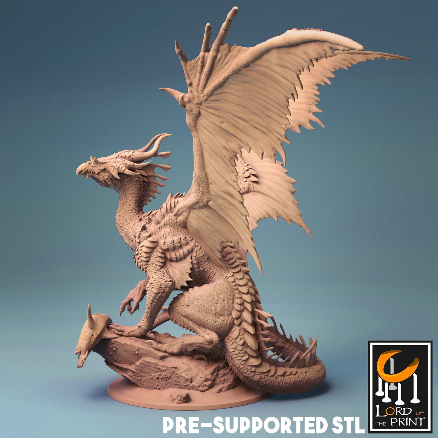 Bronze Dragon by Lord of the Print | Please Read Description