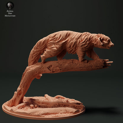 Binturong 1:24 Scale by Animal Den | Please Read Description