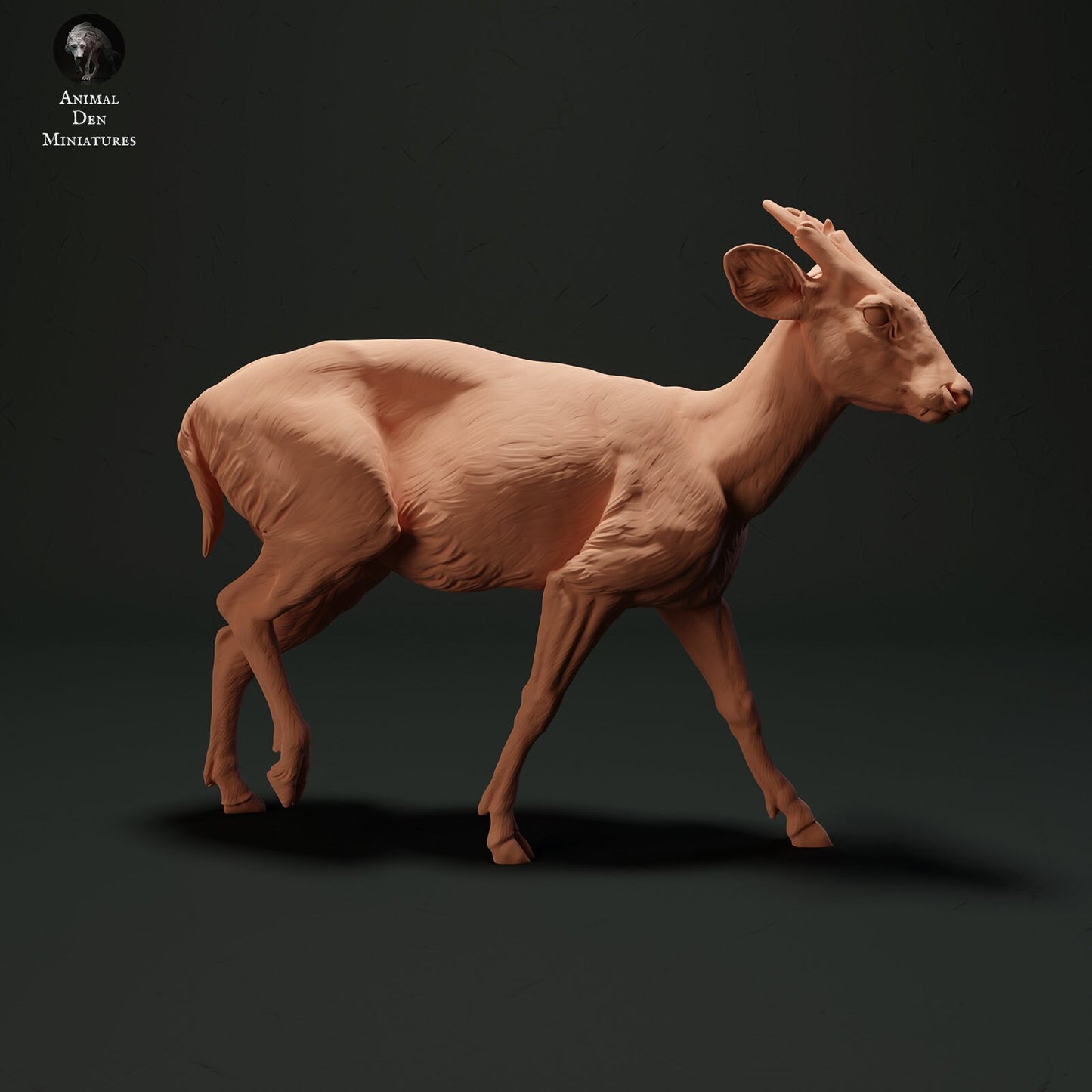 Muntjac Deer 1:24 Scale by Animal Den | Please Read Description