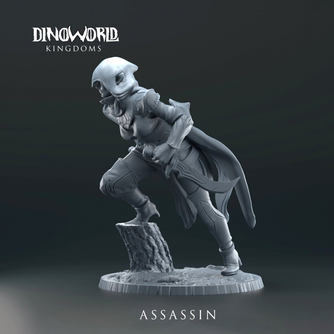 Assassin by Dinoworld Kingdoms | Please Read Description
