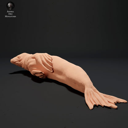 Leopard Seals 1:24 Scale Model by Animal Den | Please Read Description