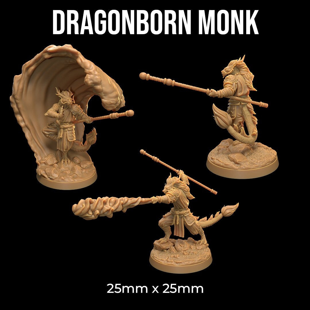 Dragonborn Monks by Dragon Trappers Lodge | Please Read Description