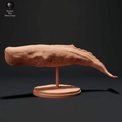 Sperm Whales 1:100 scale by Animal Den | Please Read Description