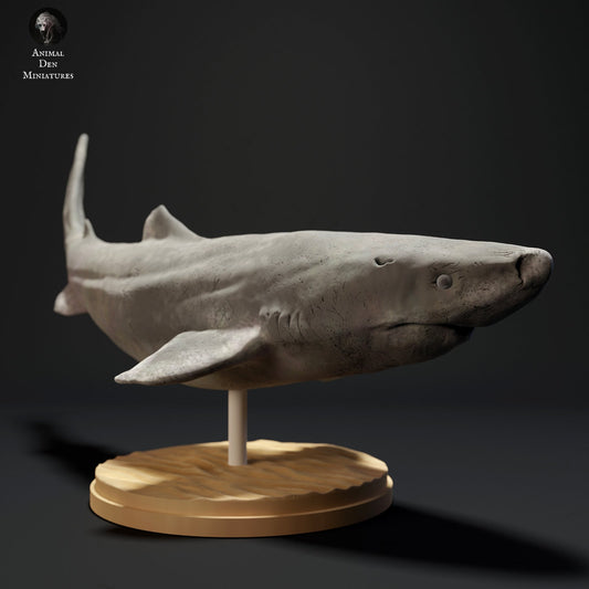 Greenland Shark 1:32 scale by Animal Den | Please Read Description