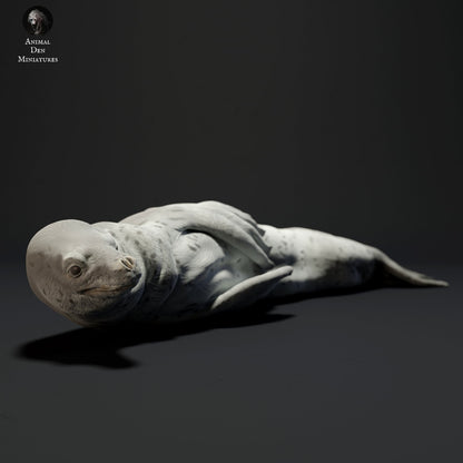 Leopard Seals 1:24 Scale Model by Animal Den | Please Read Description