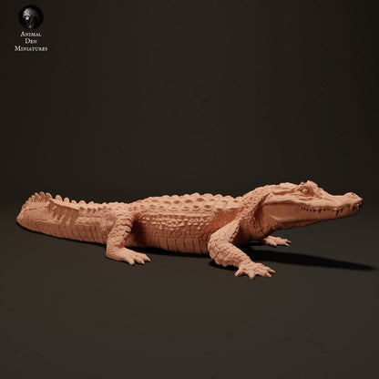 Black Caiman 1:24 scale by Animal Den | Please Read Description