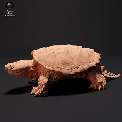 Snapping Turtle, 1:12 scale by Animal Den Miniatures | Please Read Description
