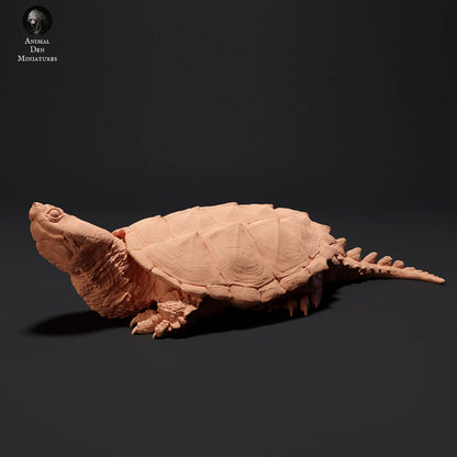 Snapping Turtle, 1:12 scale by Animal Den Miniatures | Please Read Description