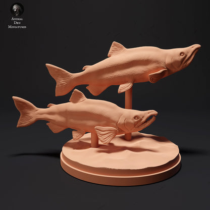 Sockeye Salmon, 1:24 scale by Animal Den Miniatures | Please Read Description