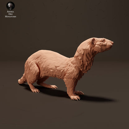 European Polecat 1:24 scale by Animal Den Miniatures | Please Read Description
