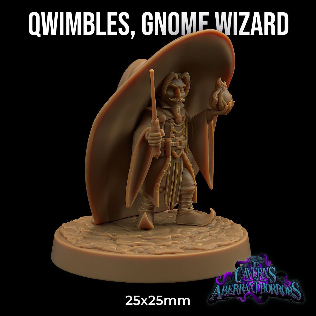 Qwimbles, Gnome Wizard by Dragon Trappers Lodge | Please Read Description