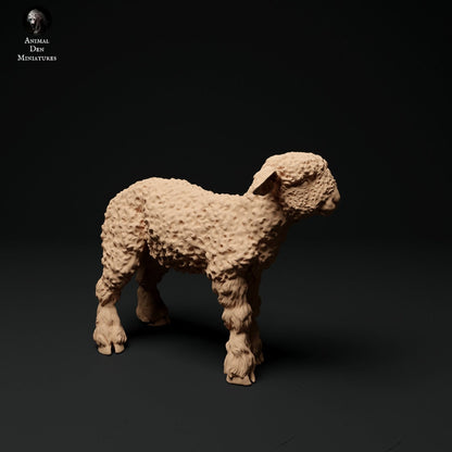 Longwool Sheep 1:24 scale by Animal Den | Please Read Description