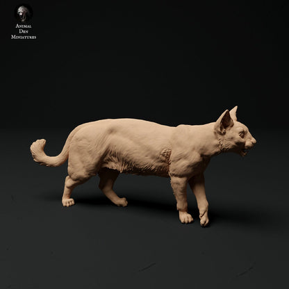 Cats 1:24 scale by Animal Den | Please Read Description