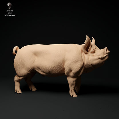 Berkshire Pigs 1:24 scale by Animal Den | Please Read Description