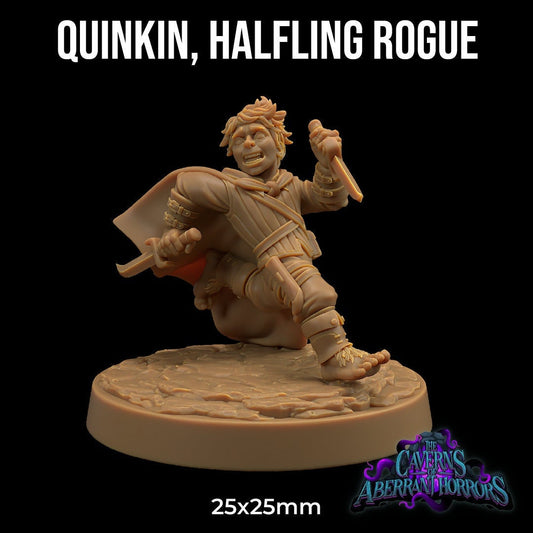 Quinkin, Halfling Rogue by Dragon Trappers Lodge | Please Read Description