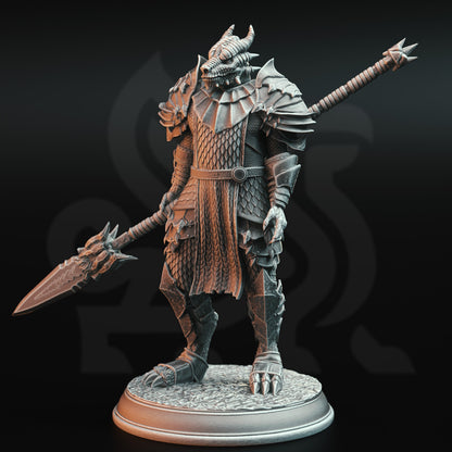 Knights of the Dragon by DM Stash | Please Read description