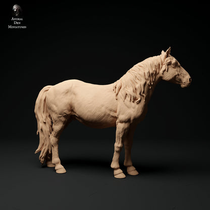 Konik Horses 1:24 scale by Animal Den | Please Read Description