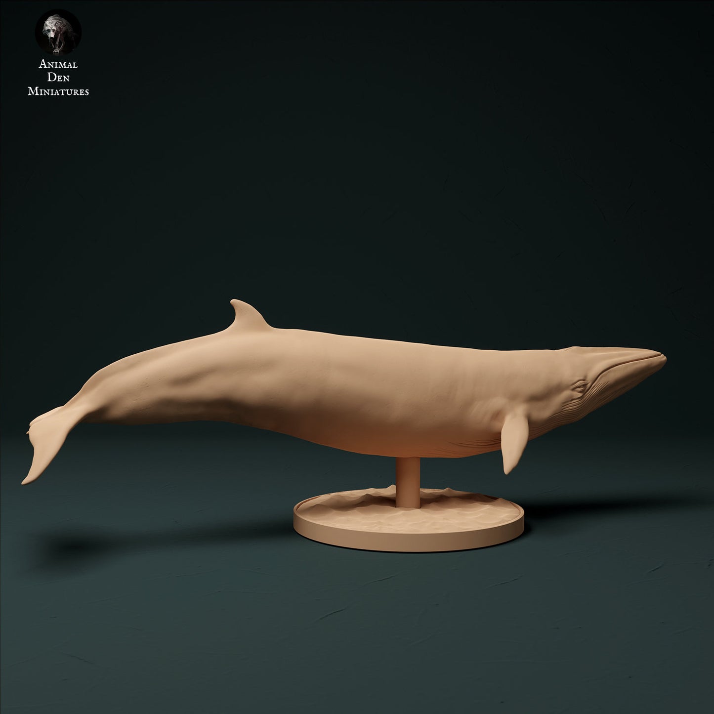 Minke Whale 1:100 scale by Animal Den | Please Read Description