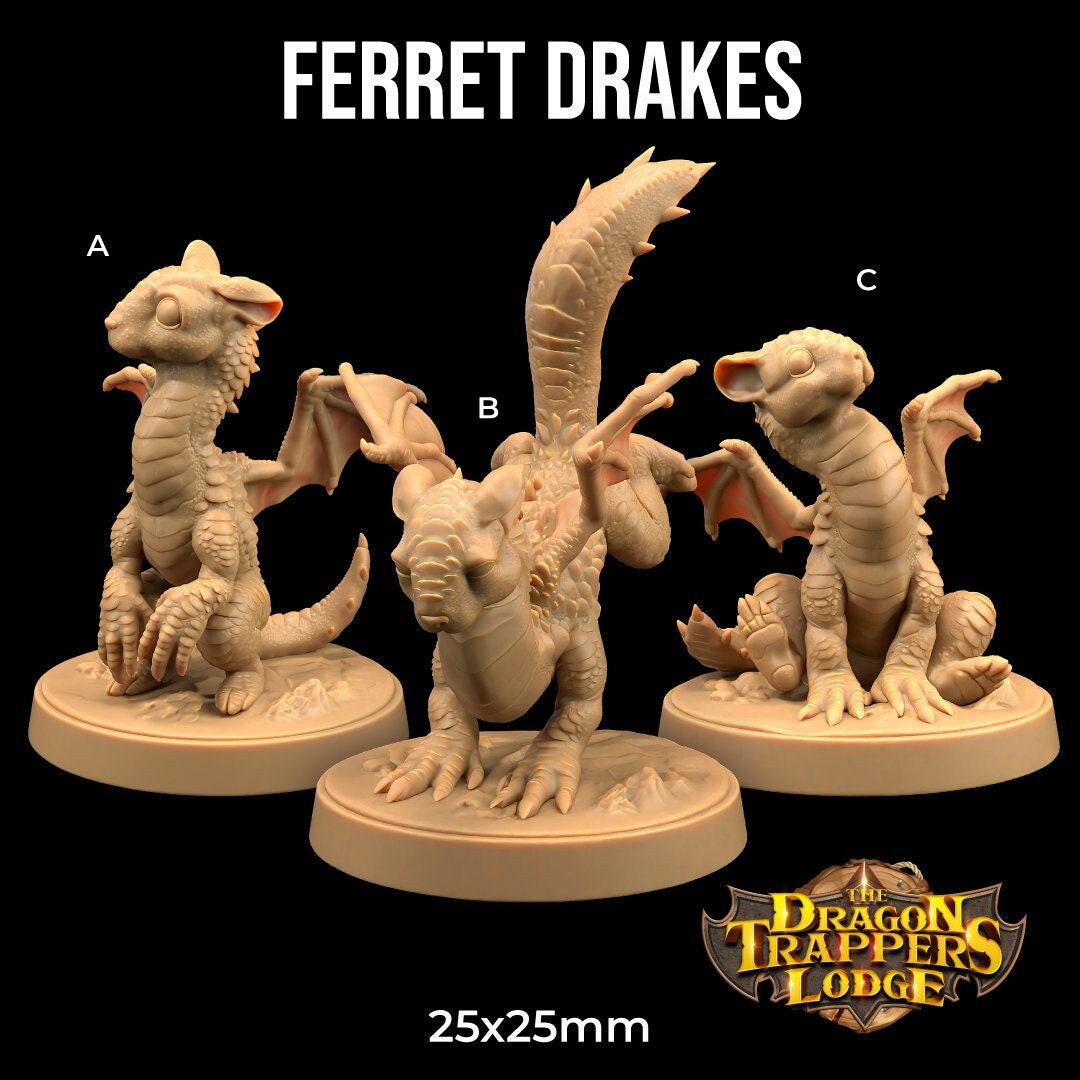 Ferret Drakes by Dragon Trappers Lodge | Please Read Description