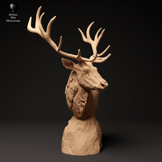Red Deer Bust 1:16 scale by Animal Den | Please Read Description
