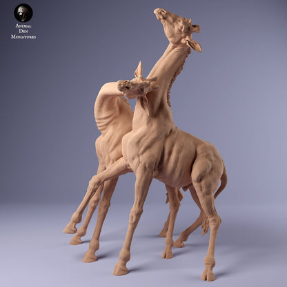 Rothschild Giraffes 1:24 scale by Animal Den | Please Read Description