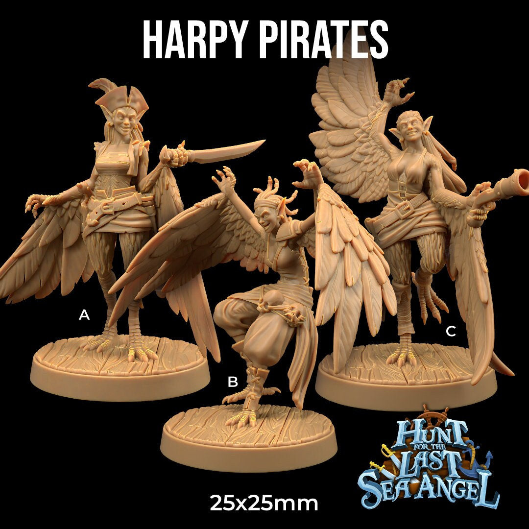 Harpy Pirates by Dragon Trappers Lodge | Please Read Description